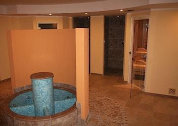 Hotel Wellness E Stella Delle Alpi 3*