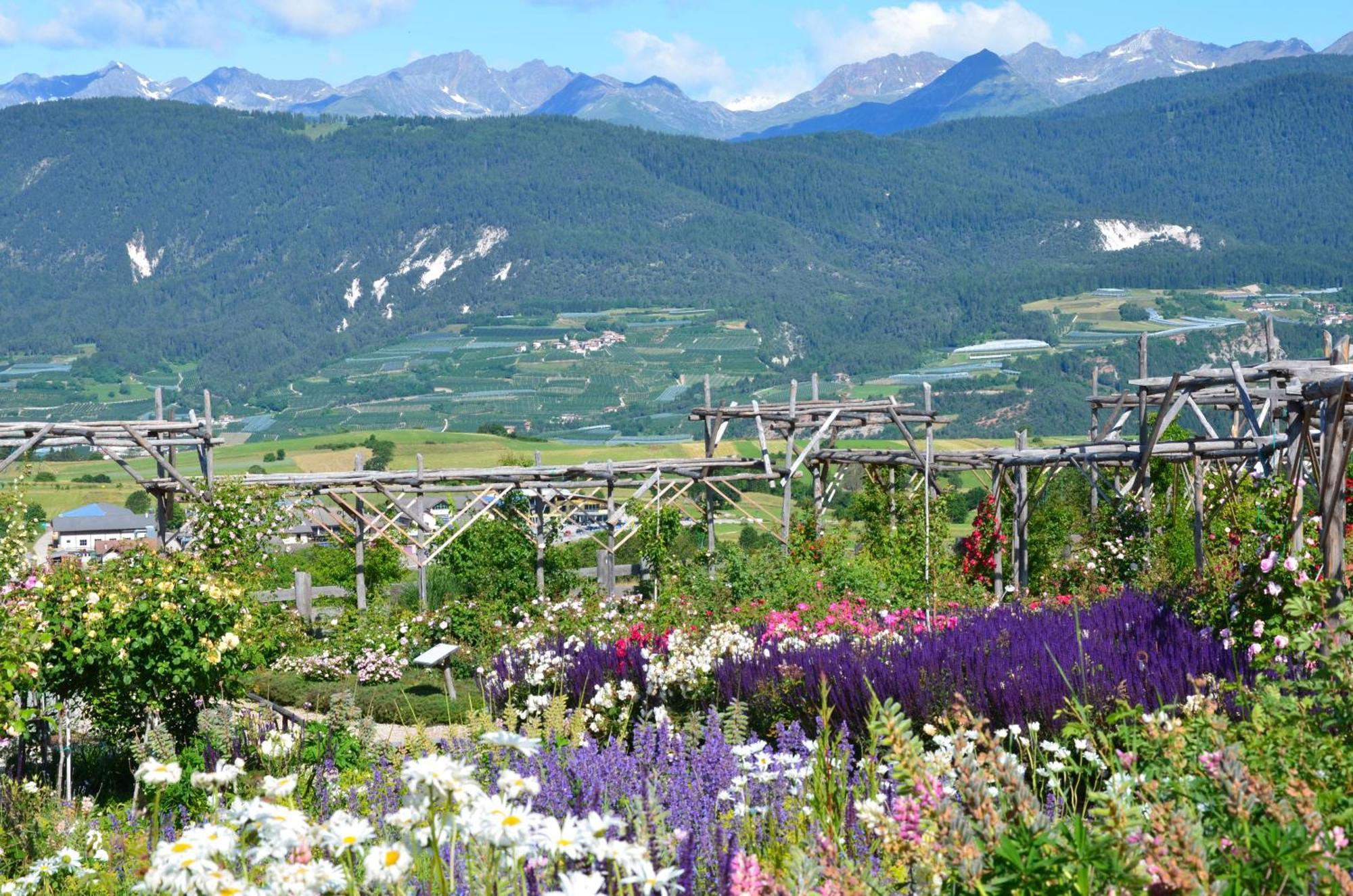 Hotel Wellness E Stella Delle Alpi